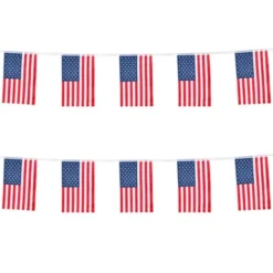 American Party Girlang