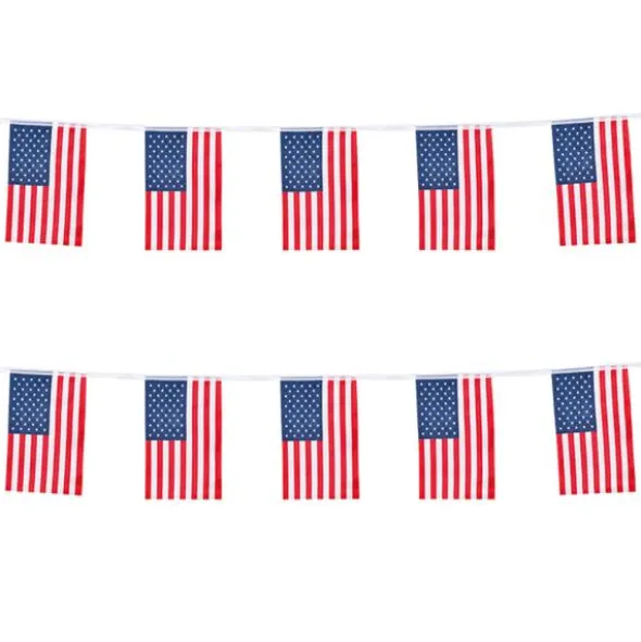 American Party Girlang