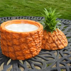 Ananas Ishink