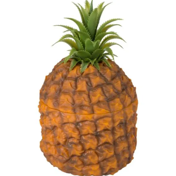 Ananas Ishink