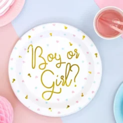 Baby Shower Boy or Girl Papptallrikar