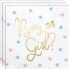 Baby Shower Boy or Girl Servetter