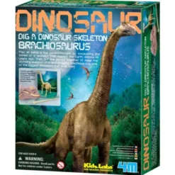 Brachiosaurus Skelett Utgrävningskit