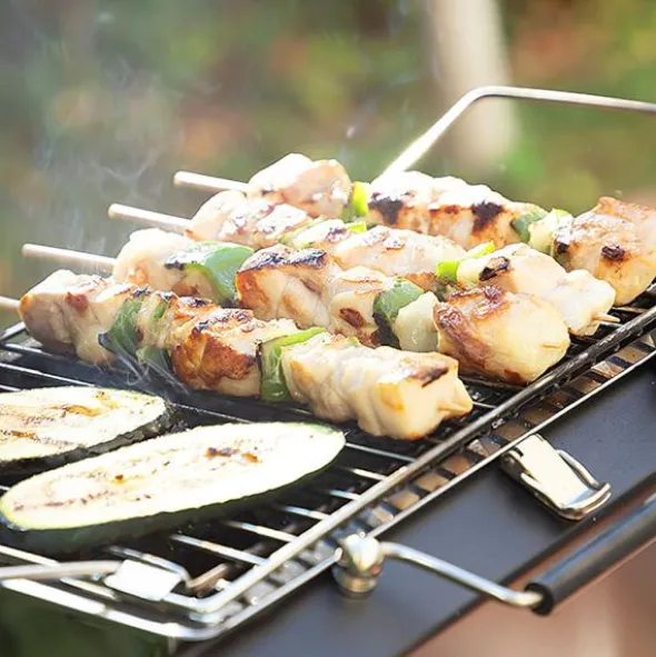 Bärbar och Hopfällbar Kolgrill