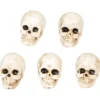 Dödskallar Mini Dekoration (5-pack/1,5 x 2 x 2,3 cm)