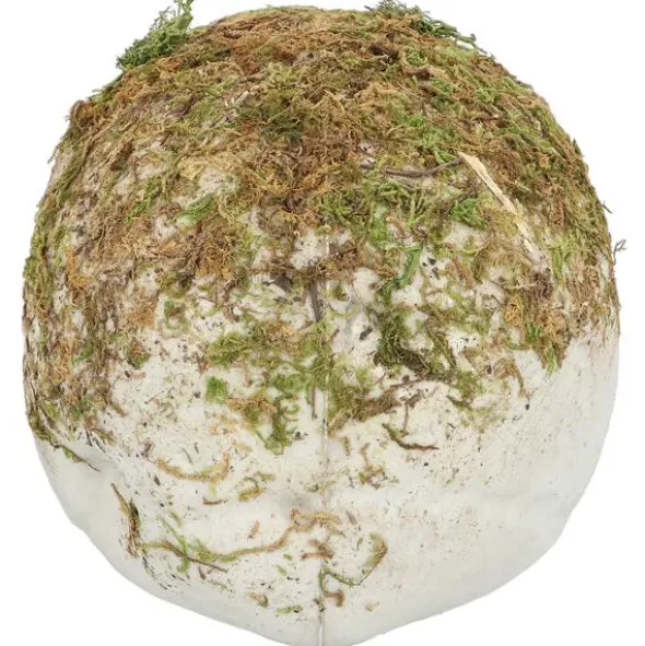 Dödskalle med Mossa Dekoration 19 cm
