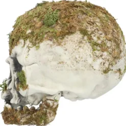 Dödskalle med Mossa Dekoration 19 cm