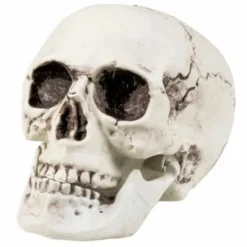 Dödskalle Prop