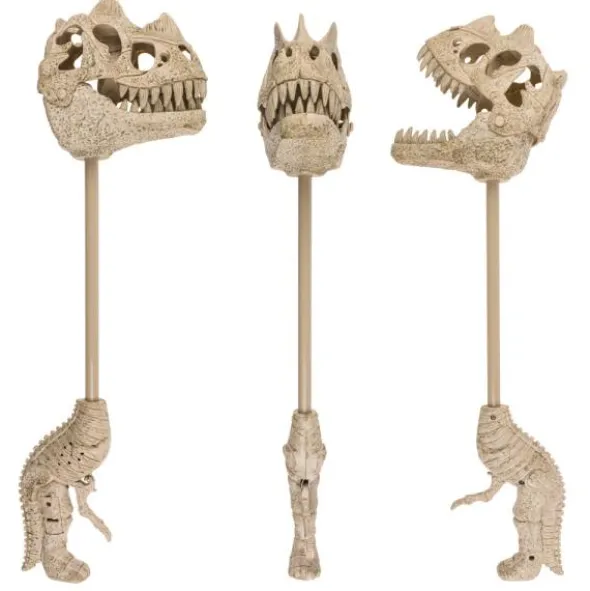 Dinosaurie Skelett med Ljud