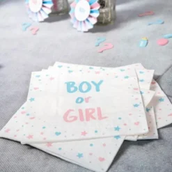 Engångsservetter Boy or Girl 20-pack