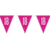 Flaggirlang 18 År Rosa & Silver