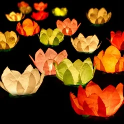 Flytande Ljuslyktor Blommor Mix 6-pack