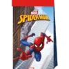 Godispåsar Spiderman Crime Fighter