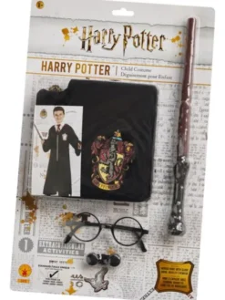 Harry Potter Dress-up Set