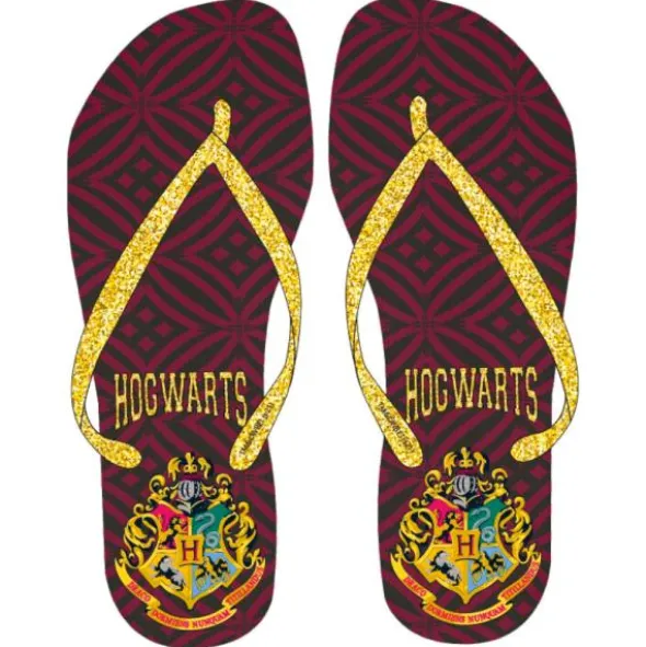 Harry Potter Flip Flops Barn (28/29)