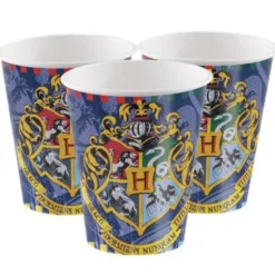 Harry Potter Muggar