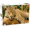 Jaguar Pussel 500 Bitar