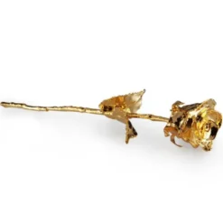 24K Guldros i Presentbox