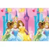 Pappduk Disney Prinsessor Live Your Story
