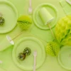 Pappersmuggar Limegrön 25 cl 6-pack