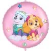 Paw Patrol Skye & Everest Folieballong