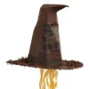 Pinata Harry Potter Sorteringshatt