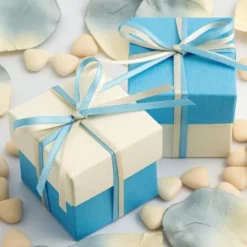 Presentaskar Baby Blå och Vit