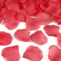 Röda Rosenblad Konfetti
