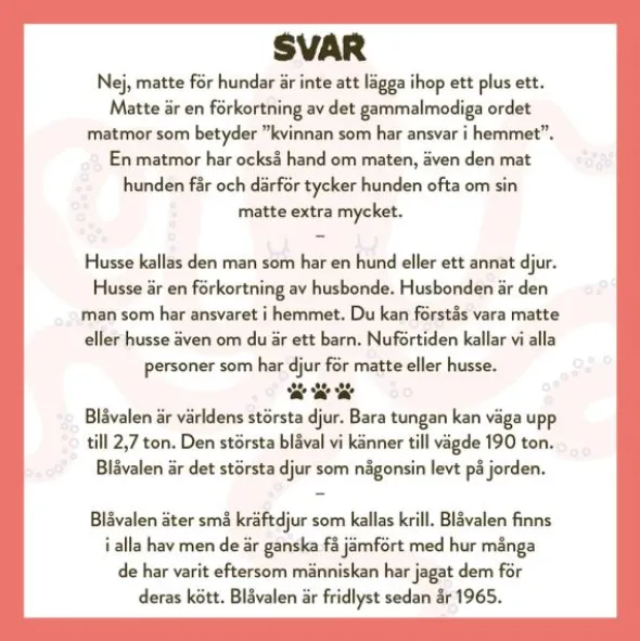 Spela Mera: Allt Om Djur Frågespel