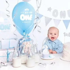 1st Birthday Blå och Silver Kalaspaket
