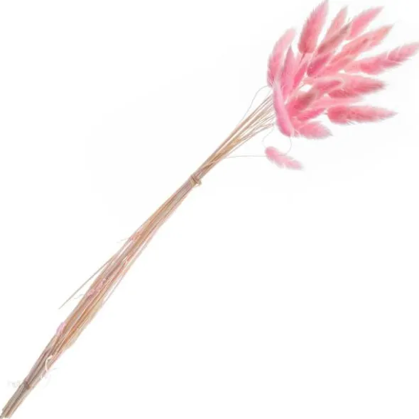Torkade Harsvansar Rosa 25-pack