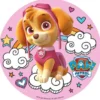 Tårtbild Paw Patrol Skye A