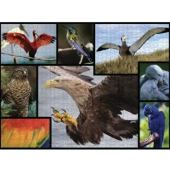 WWF Fåglar Pussel 1000 Bitar